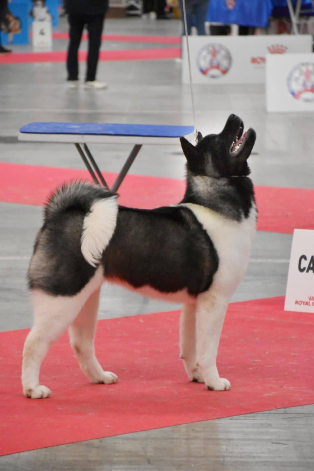 614766625 10239653330052726 1985413728729039837 n