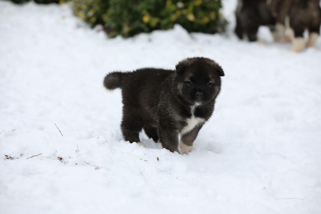 616100919 1377426554400666 6727503677485430389 n