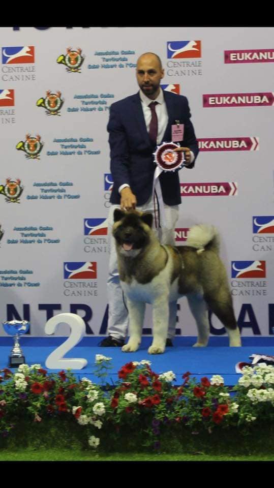 62468949 1261769390666616 8791187048569503744 n