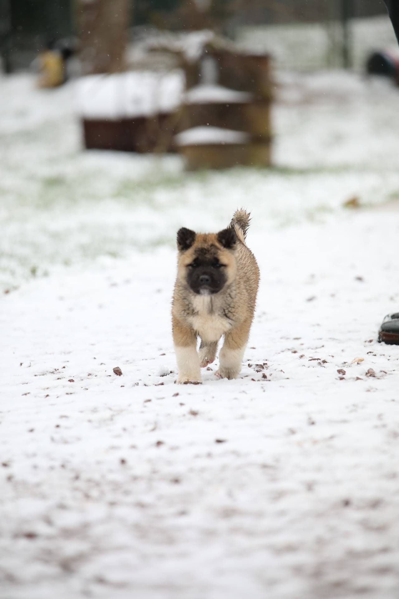 628891135 3307852366058298 462257096641198825 n