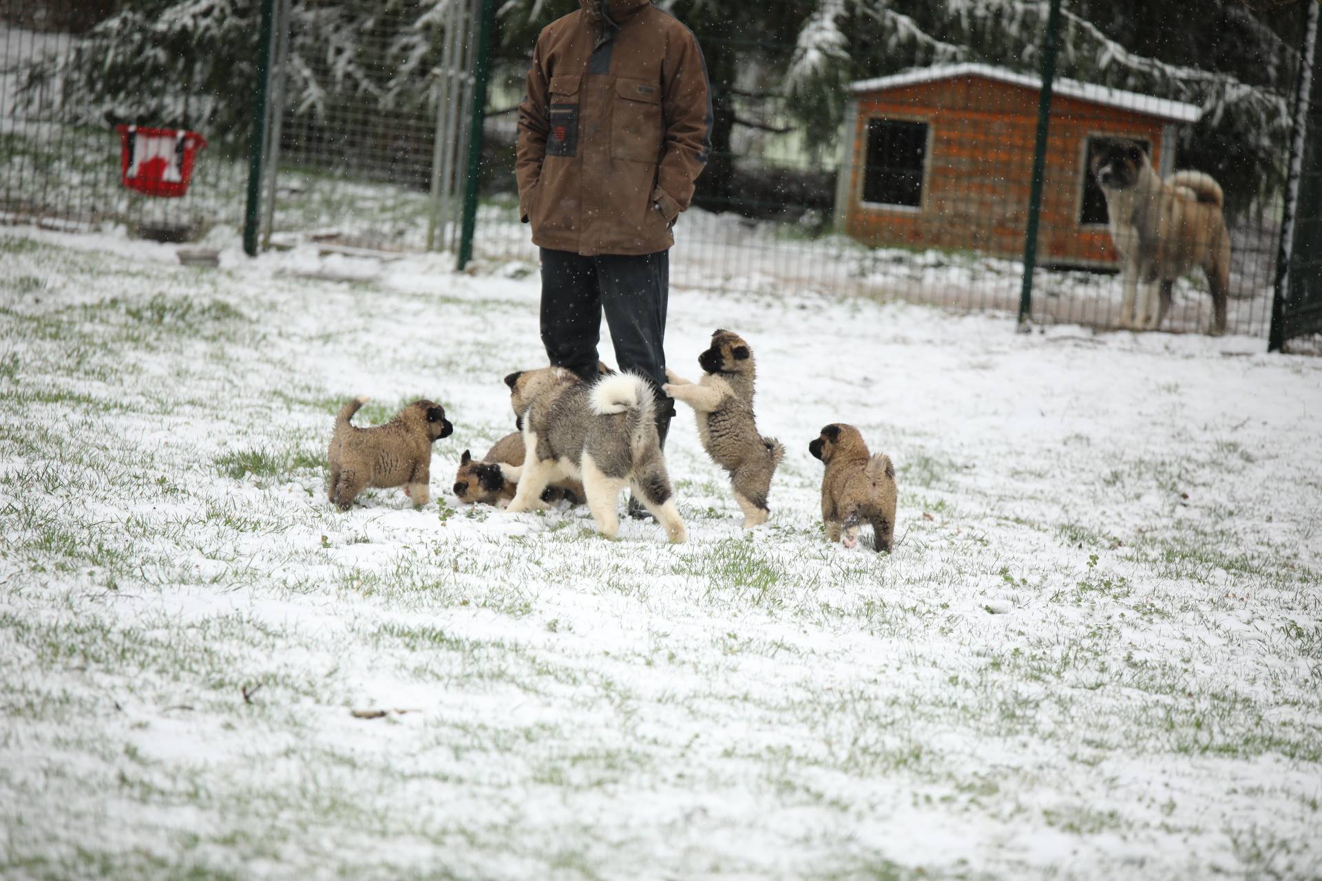 634218156 3307851852725016 3157834531416431035 n