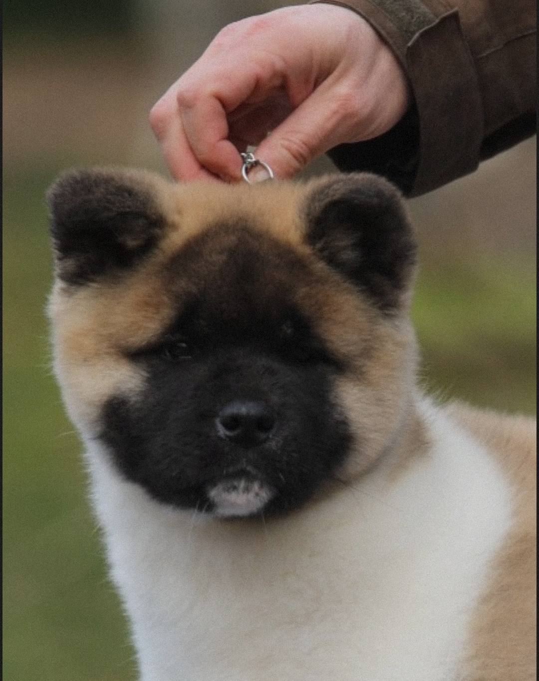 634447194 1404704341672887 8233323351856948283 n