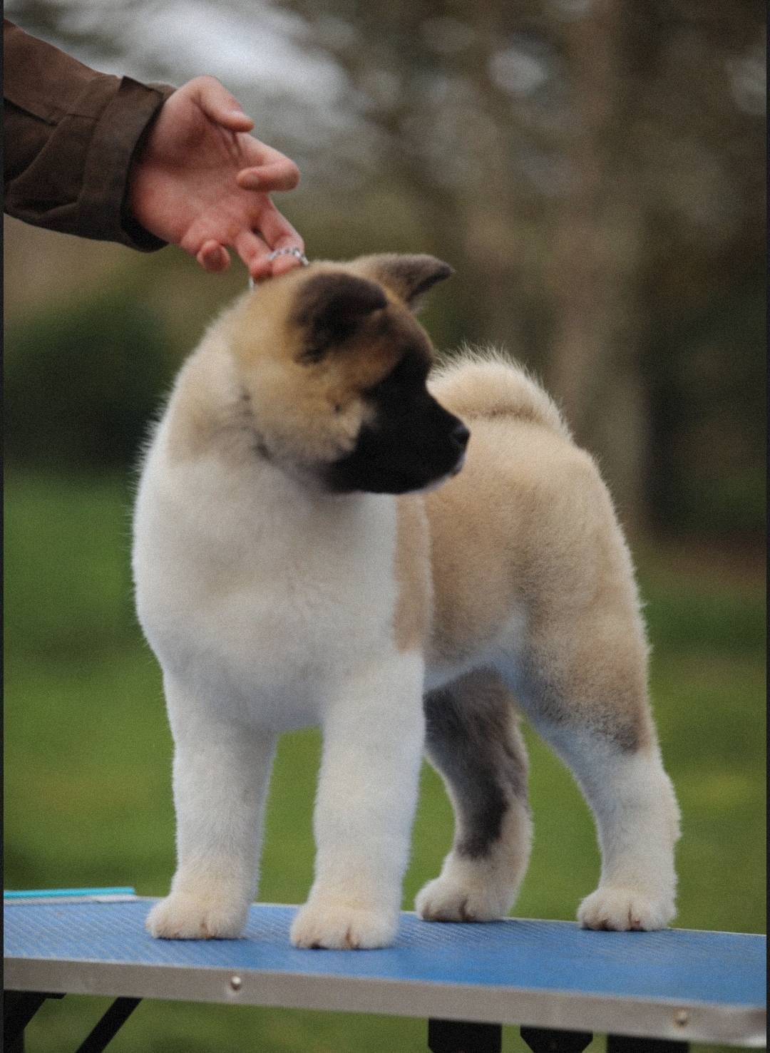 634688975 1404704385006216 452520774673715412 n