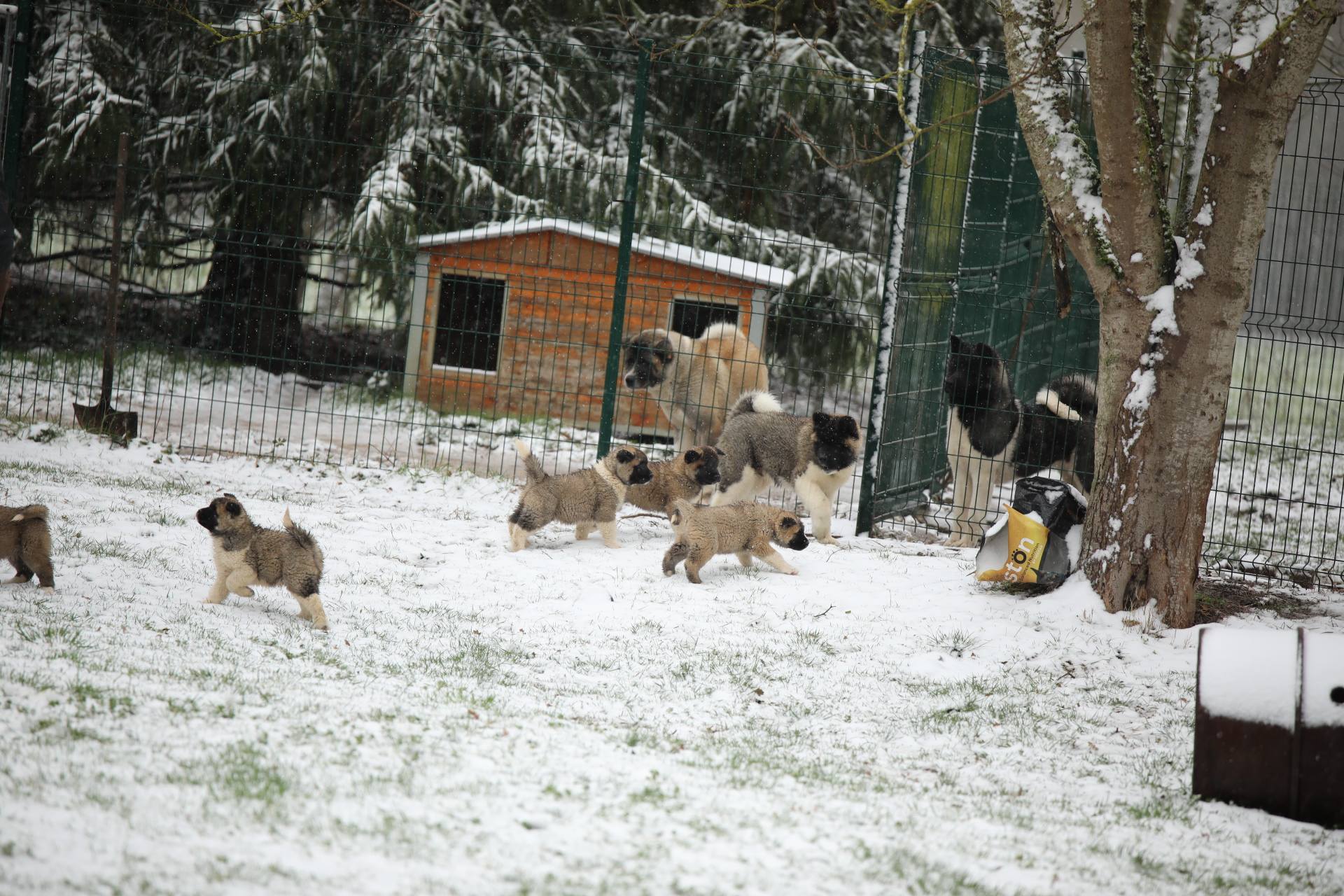 634922540 3307851799391688 309997047597132328 n