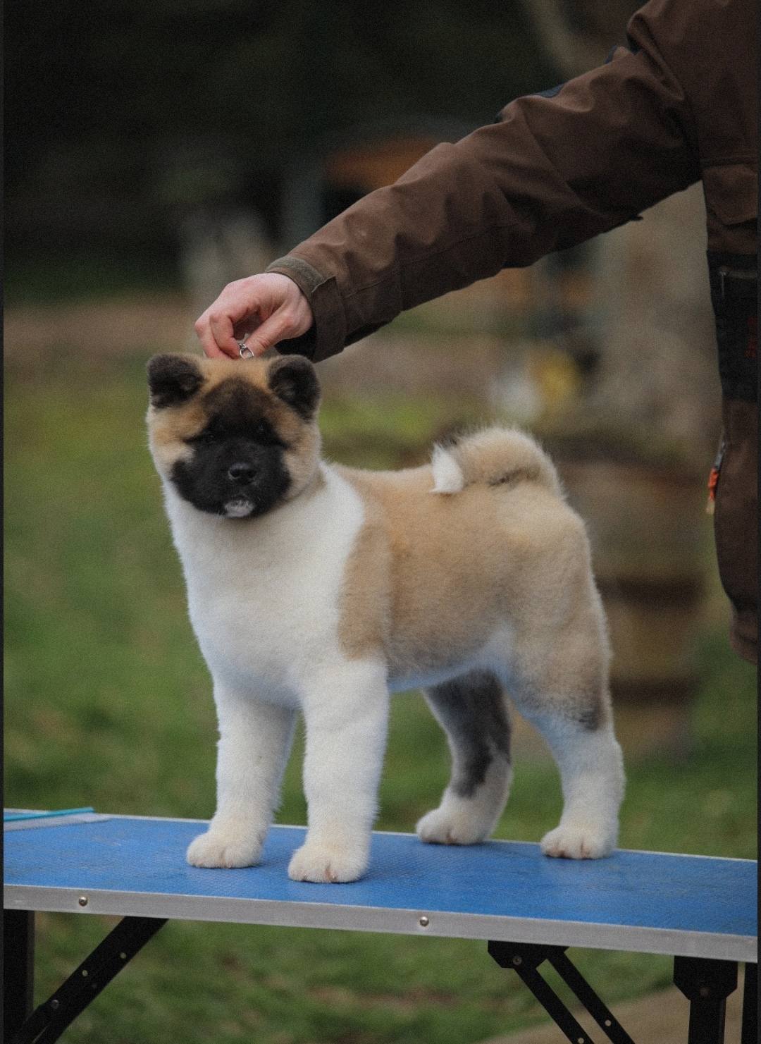 637071942 1404704571672864 3449563861843119007 n