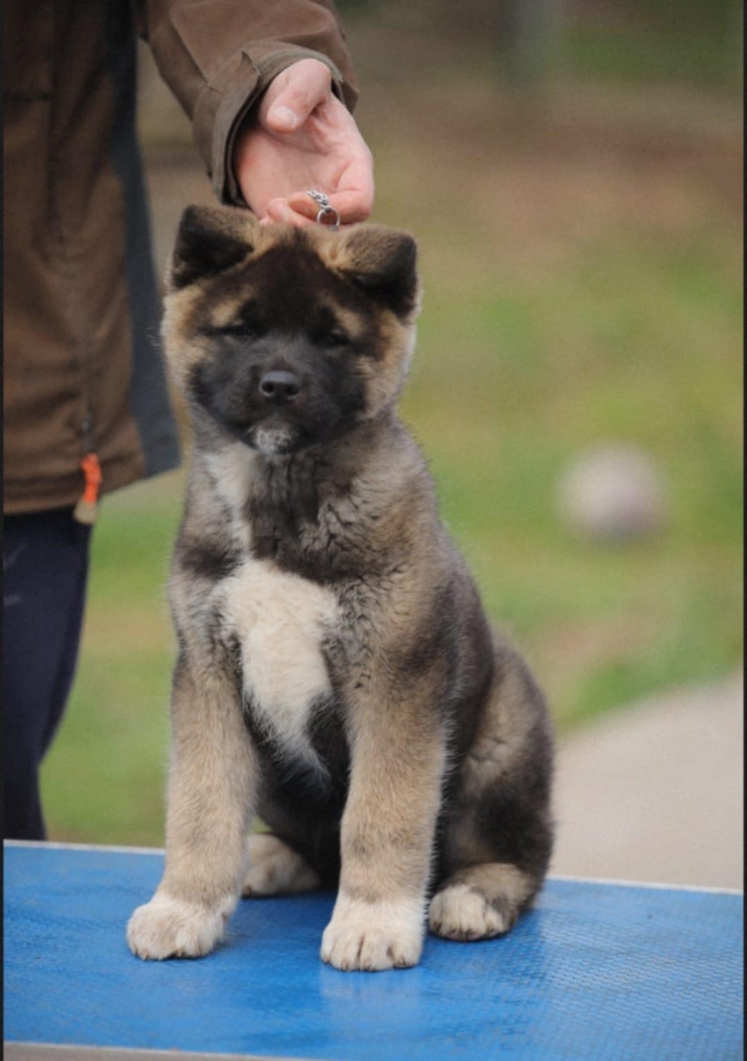 7448864c 8c61 4209 a3a5 56c338f86446