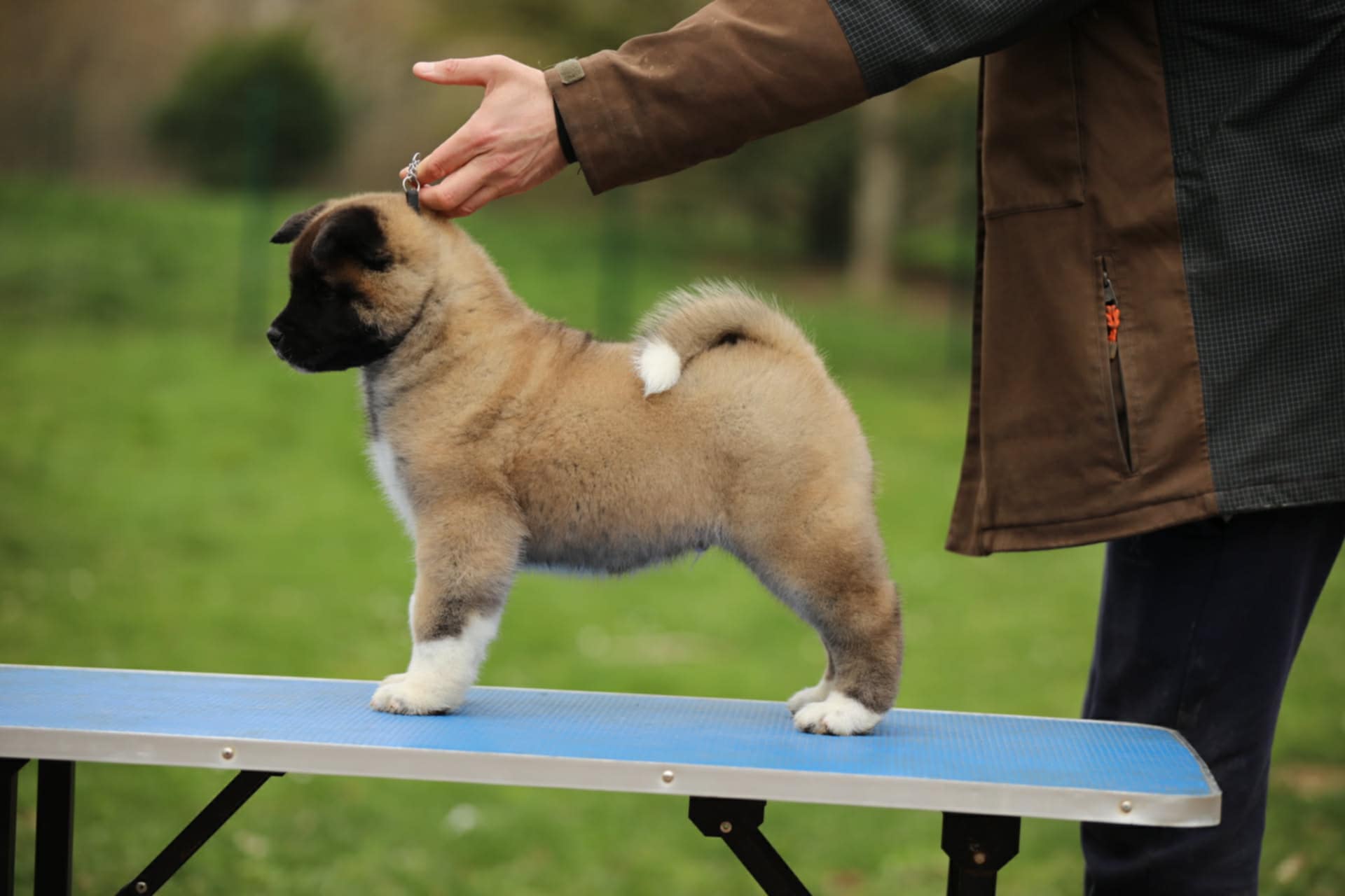 7f3c31ce 05ab 441f 9fd9 d571a874c0e4