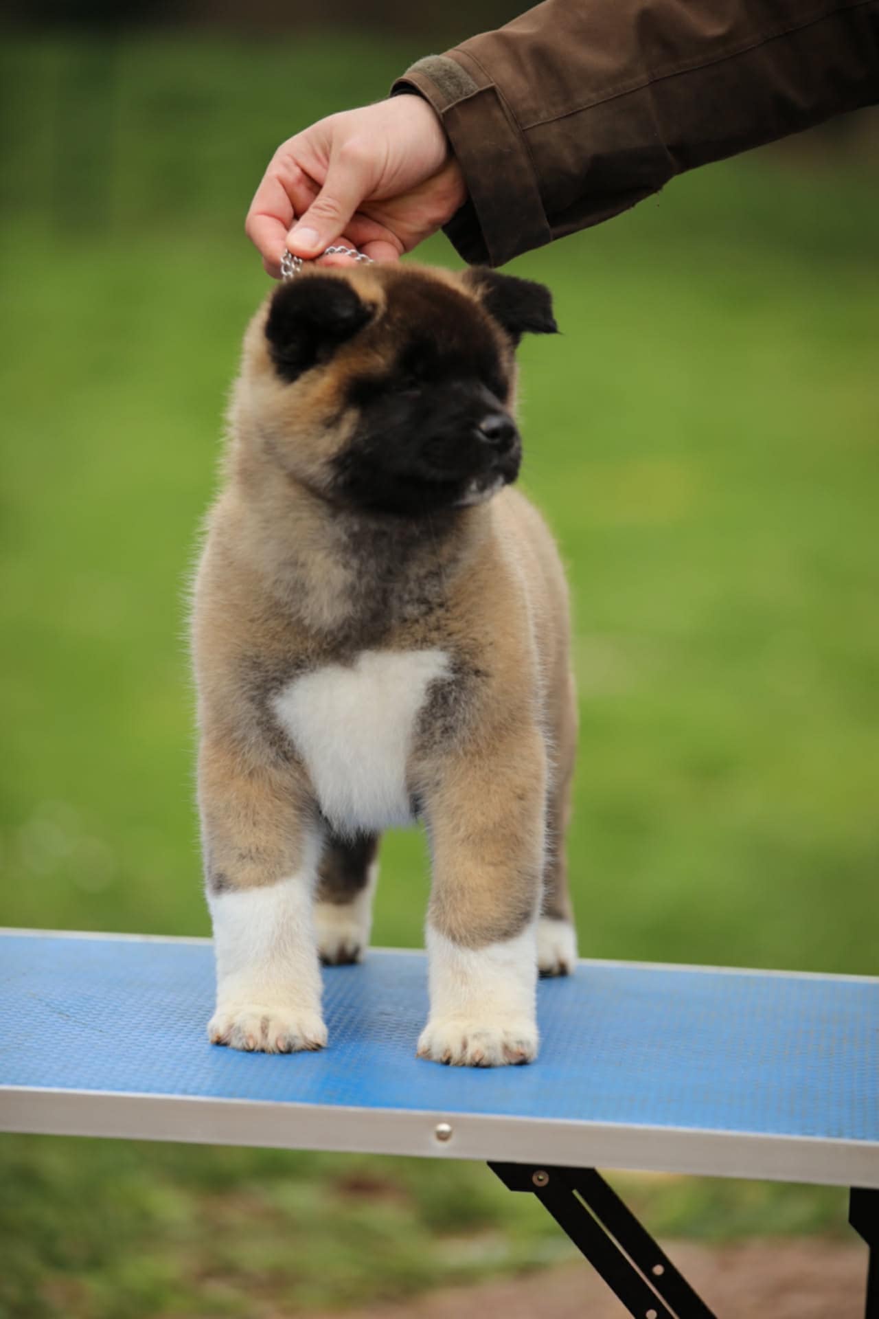 80251f97 ac3a 4498 8789 bcd0283ff618