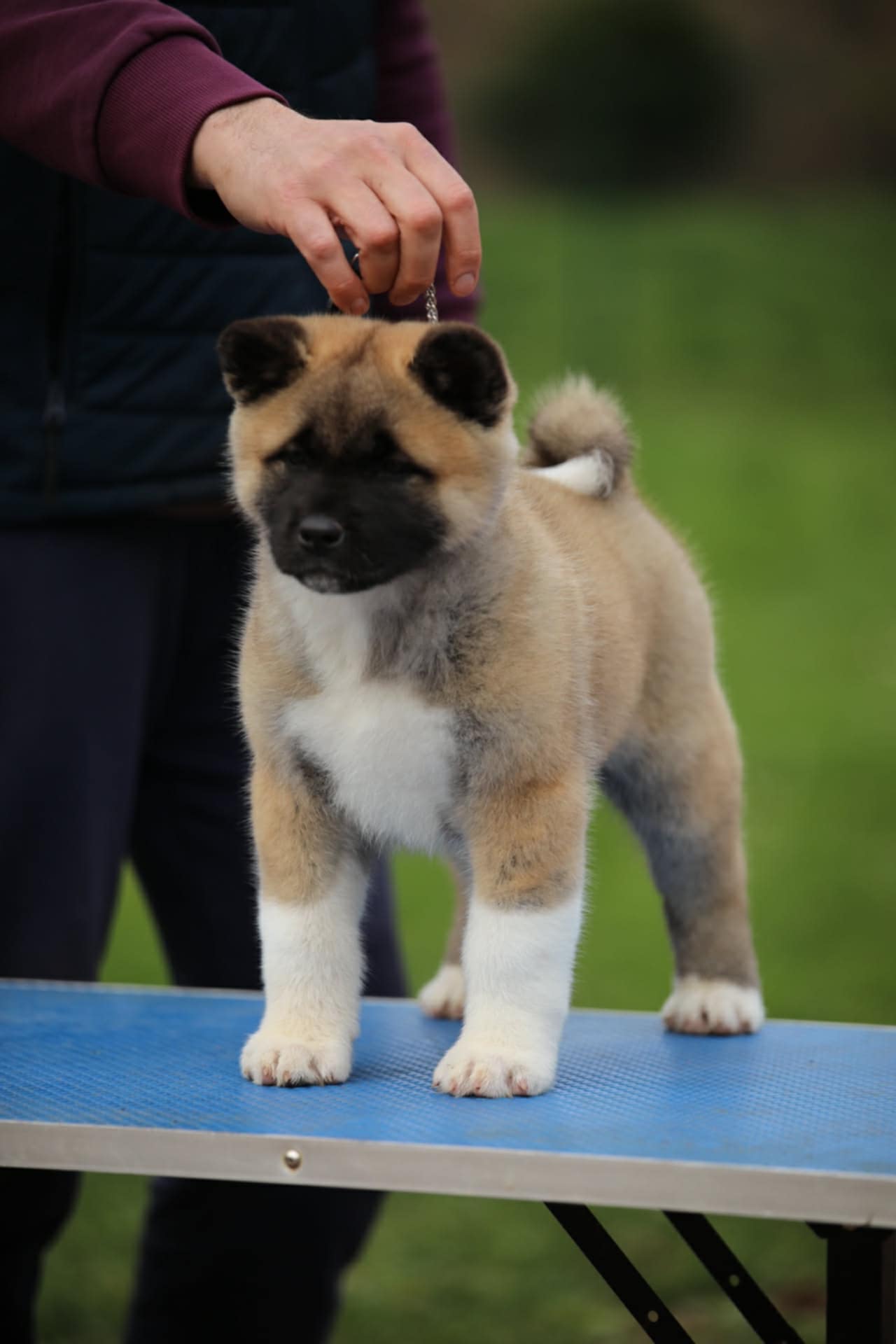 8e99e2d2 d910 4e6e abf4 71c2796f3a18