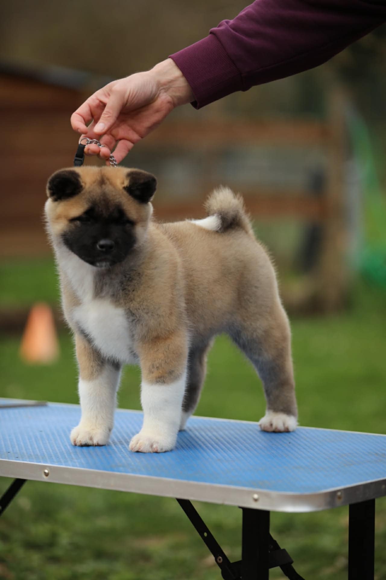 b3beca4f 6b57 4496 91ad 01009ac8b7fd