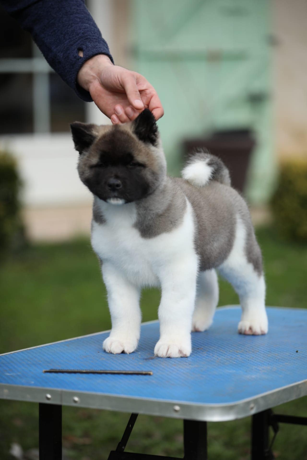 c457dc7c ec67 41d7 8994 510e495813c5