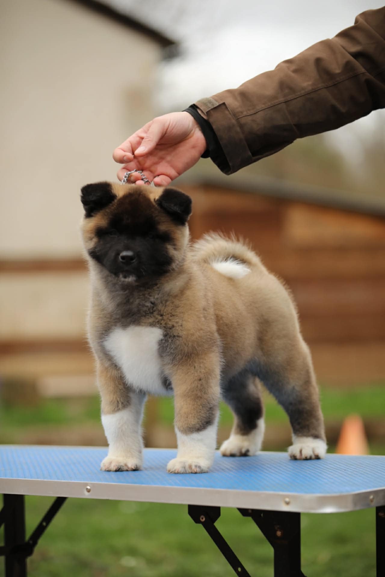 c791f183 81a0 4d8b be53 ee7217162950