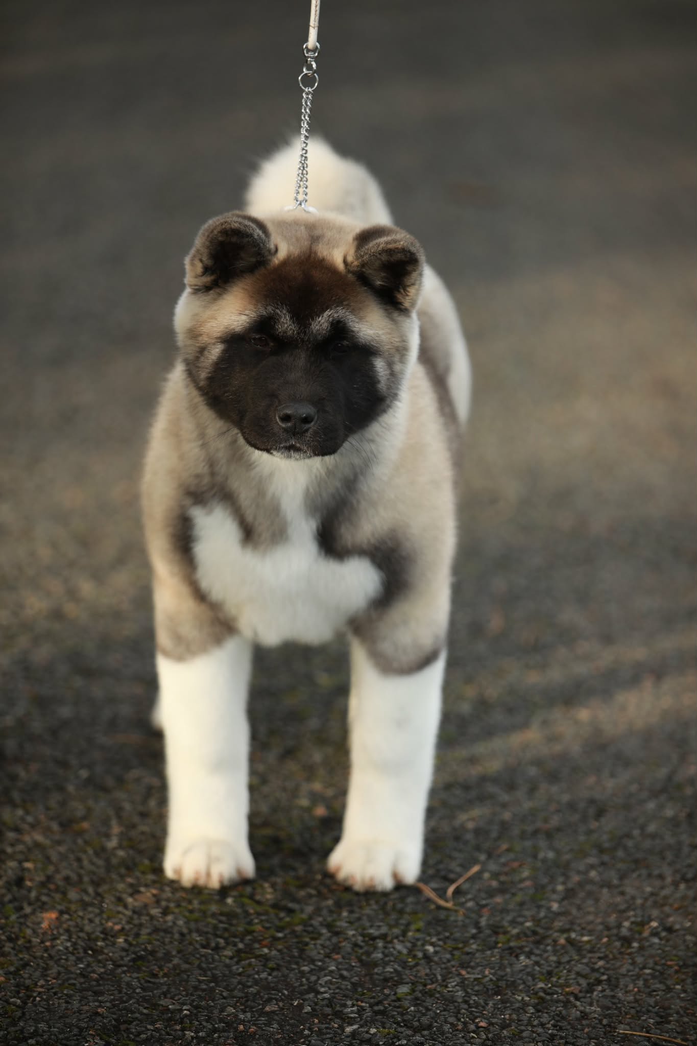 f8460fb7 9a5a 4c0b a3e4 a6ea2c66cb80