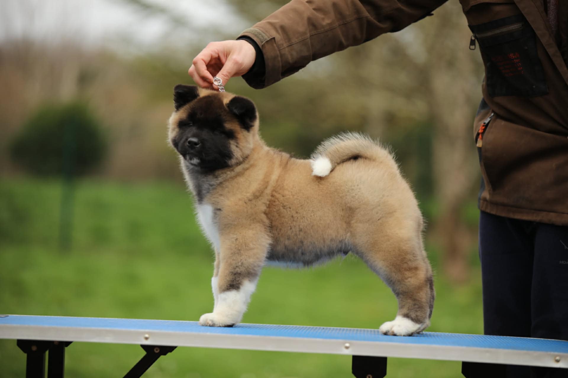 faeb54e3 3a34 4678 97cd f0e43603116a