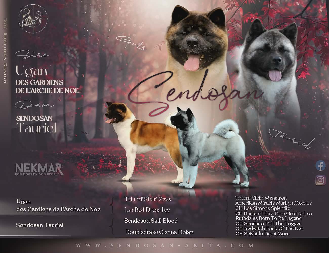 chiot typés sains vaccinés