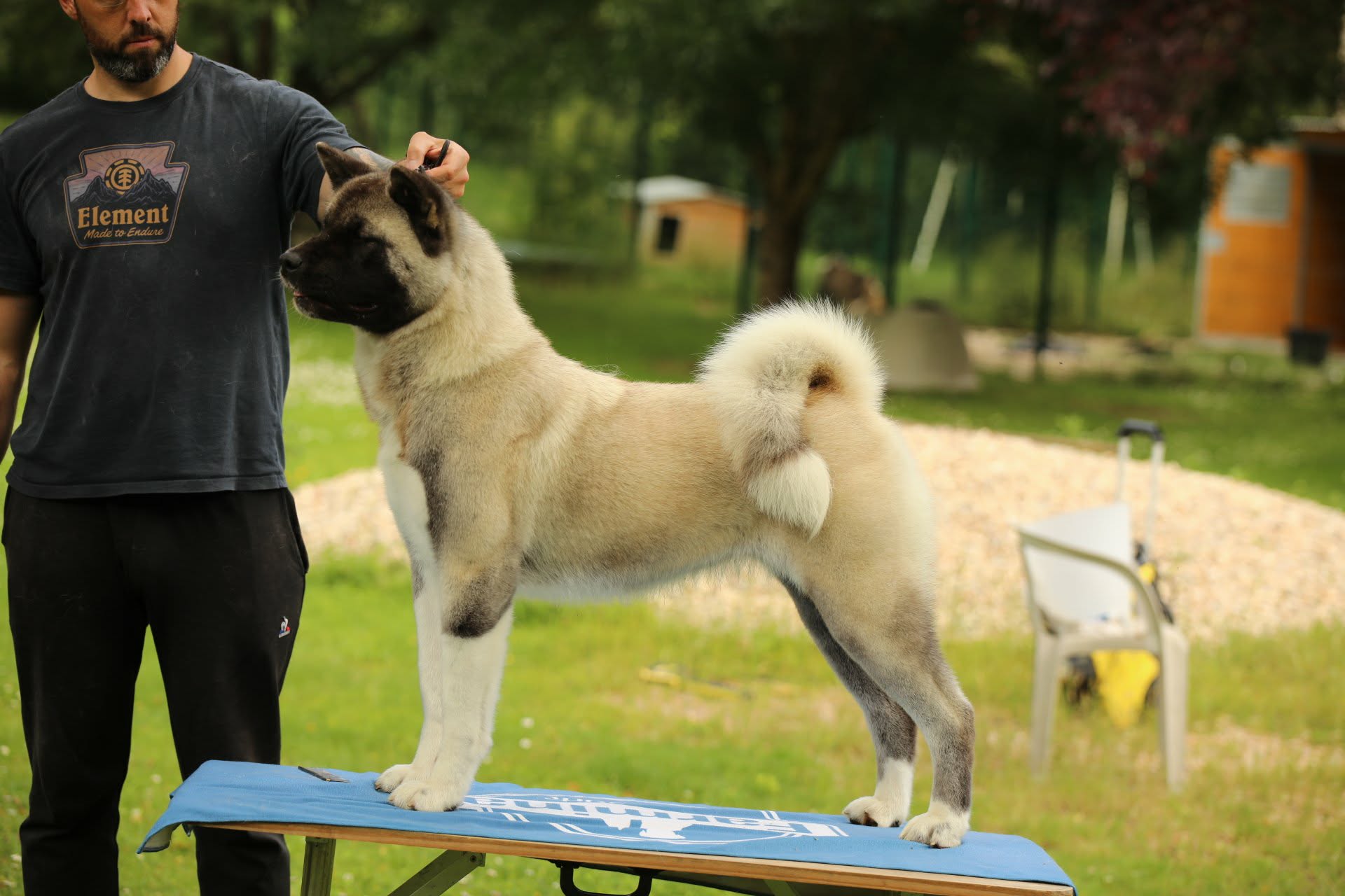 fe2ce1dc 8950 45ce 9bf9 8333dc4c3a19