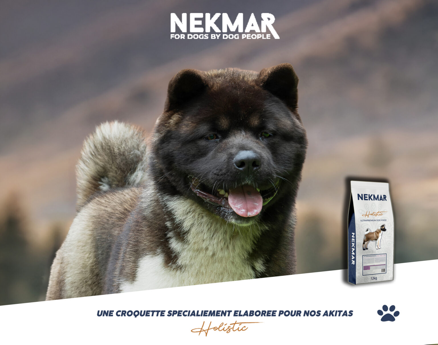 akita americain alimentation sensible saines holistique