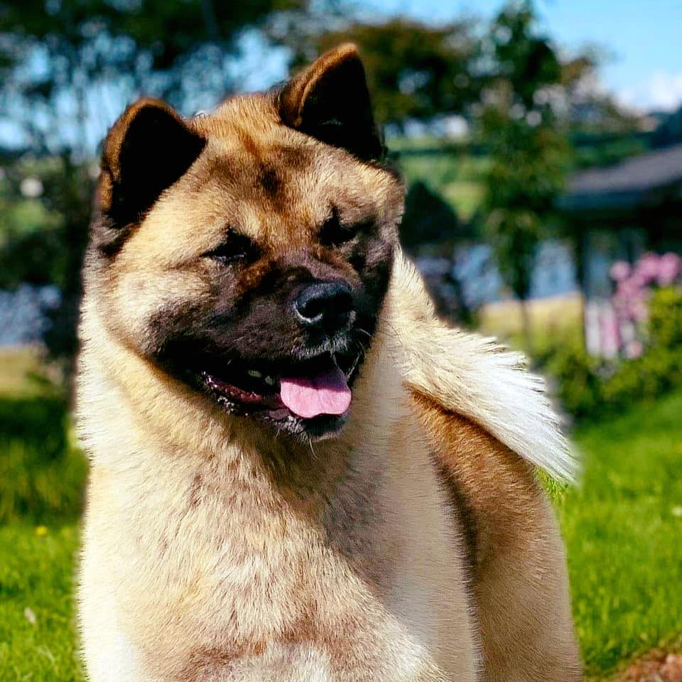 118889674 1601048403398296 1266170264287187121 n