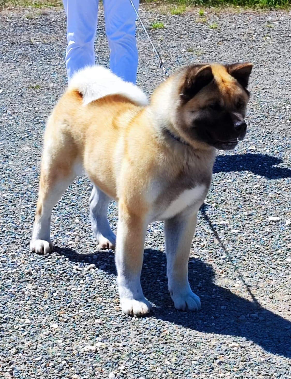 493318654 10235920763620898 1912202408220793028 n (1)