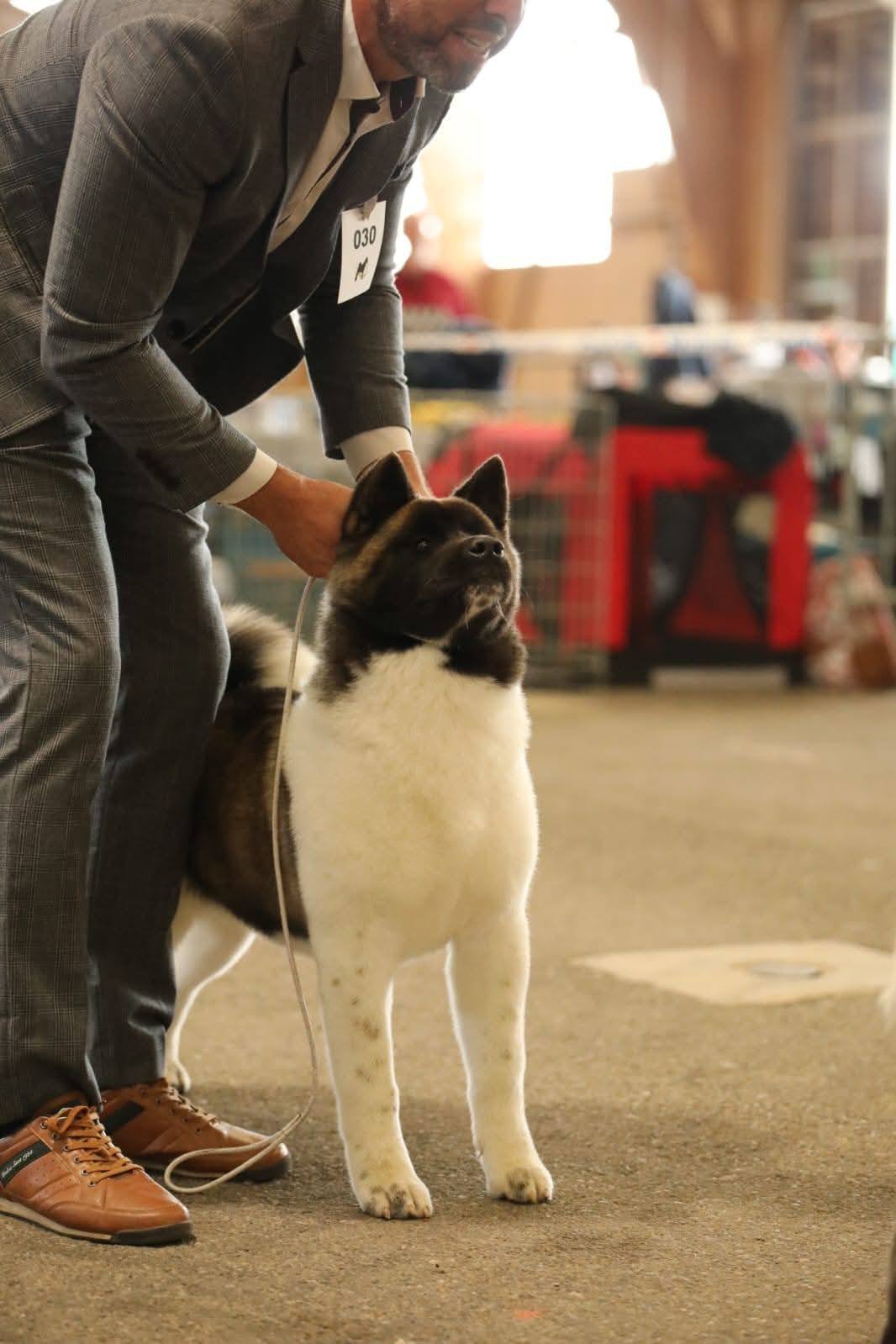 615837848 1378009591009029 6752284430995983383 n