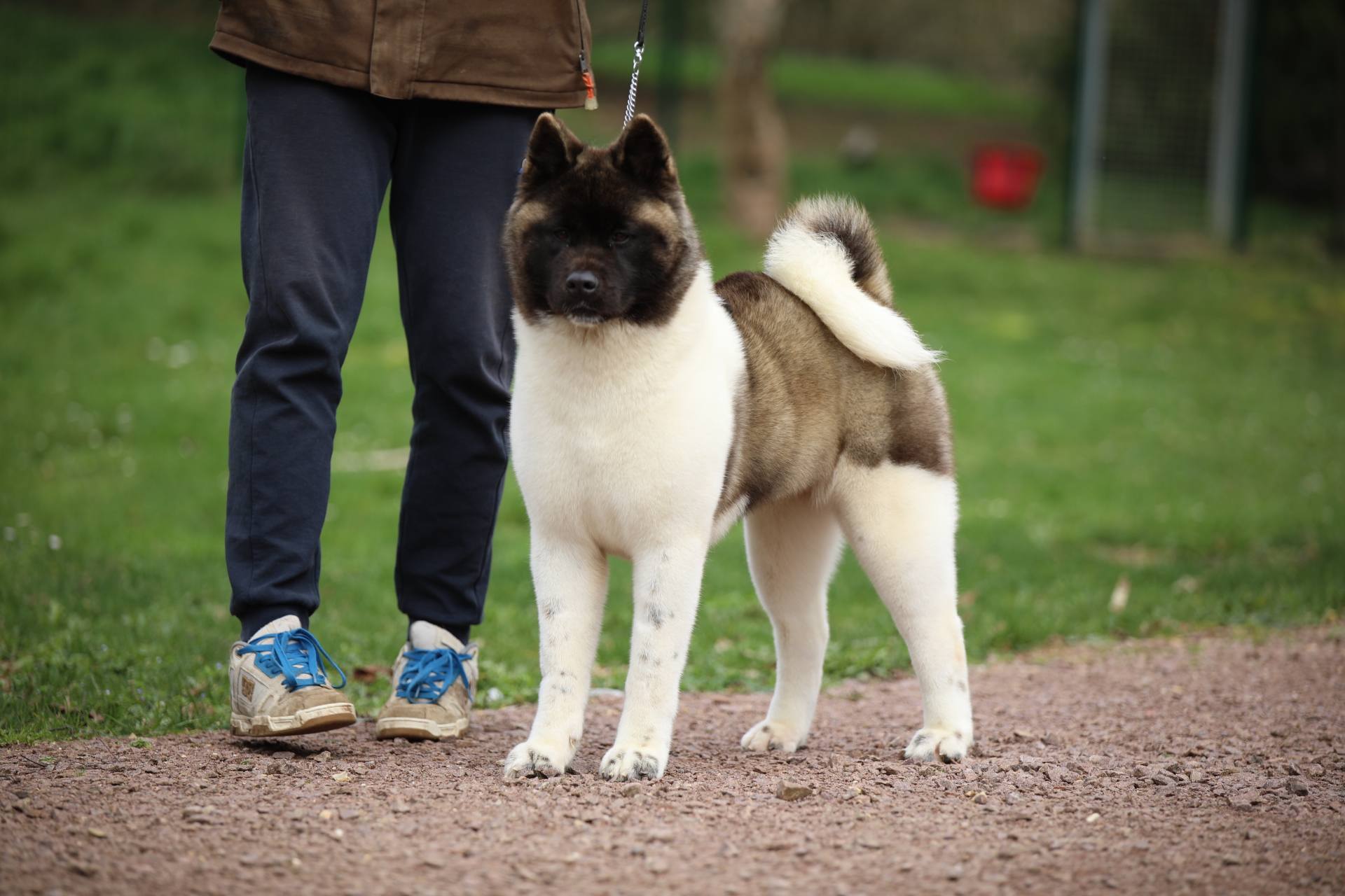 641531936 1412231287586859 8031205761900333767 n