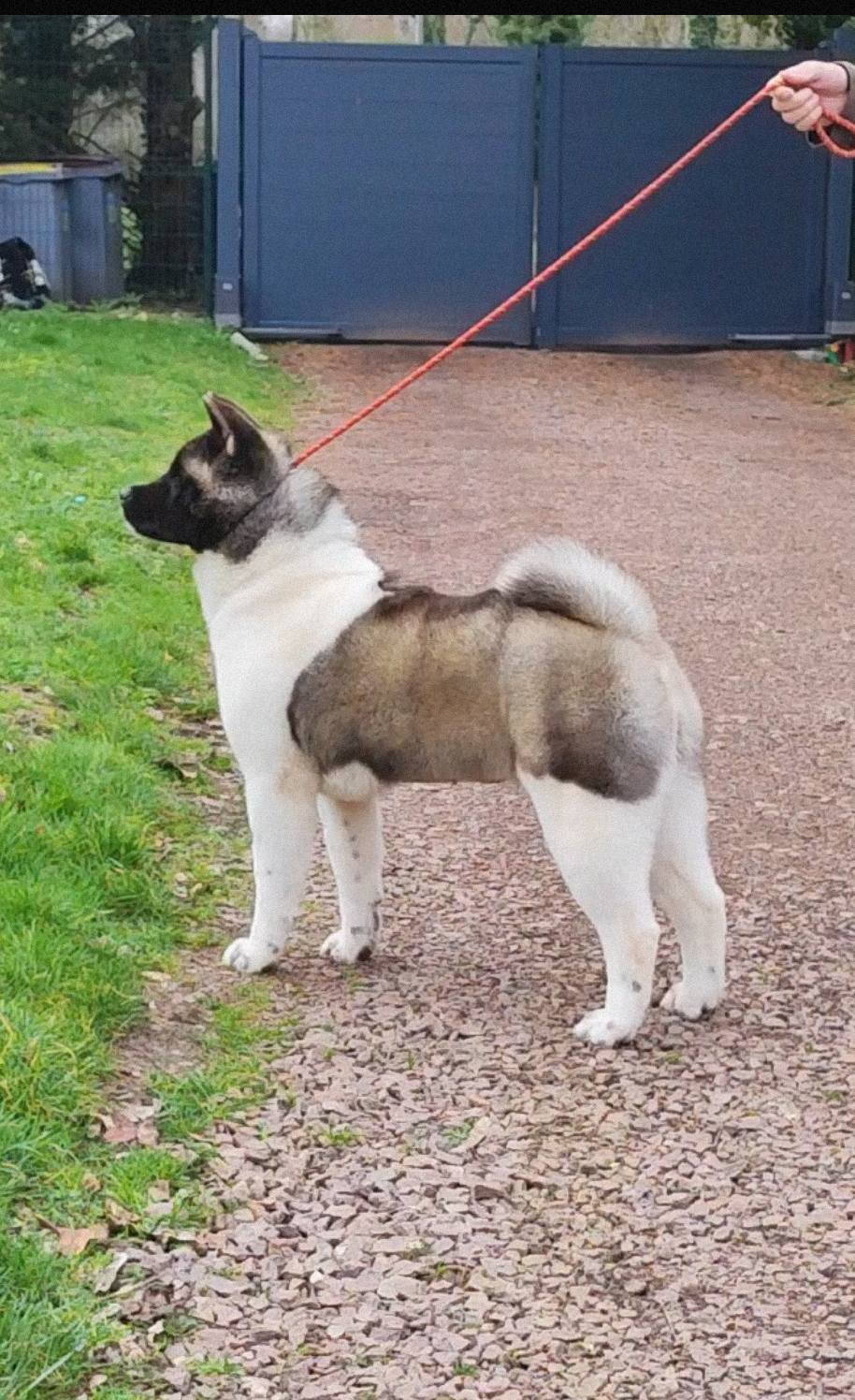 642217877 1412231254253529 8962273011733384601 n