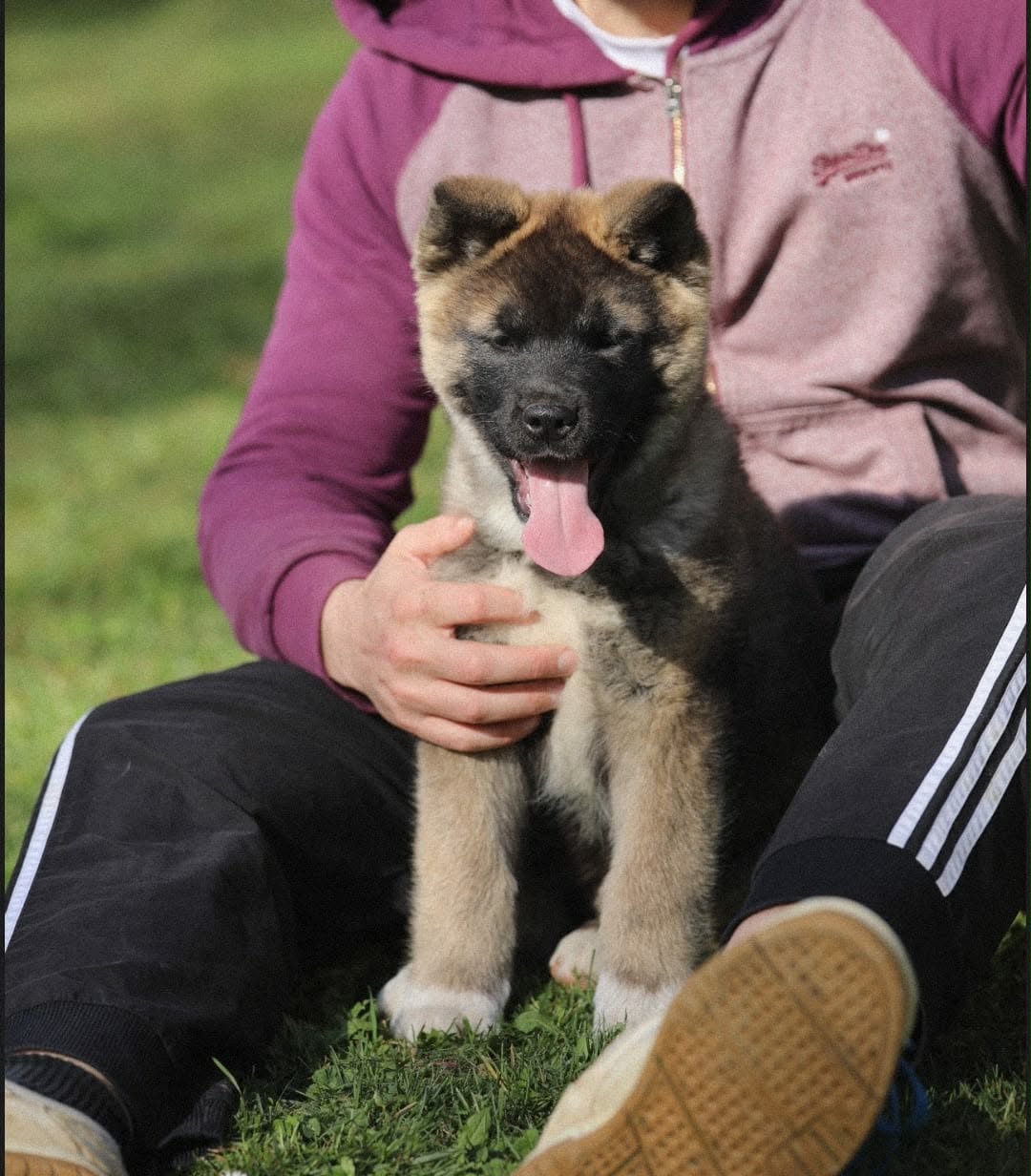 a64df0d3 9d3a 4bc2 bf9f 340456cb060c