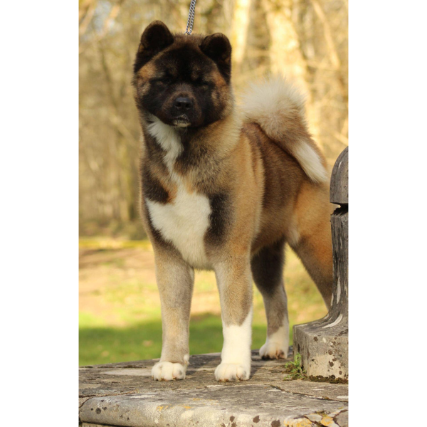 471662632 10234645183852201 1170815611846045250 n