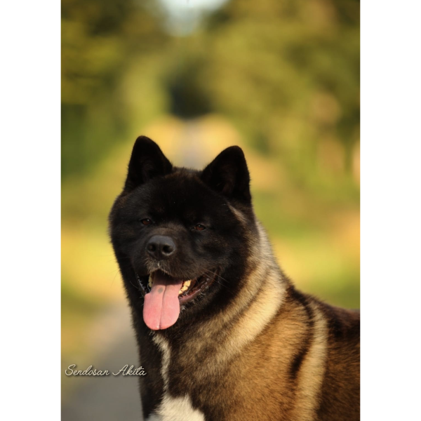 496424425 3008452052664999 4039850542279648893 n (1)