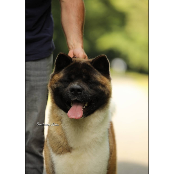 518354230 3082020788641458 709561589140280563 n